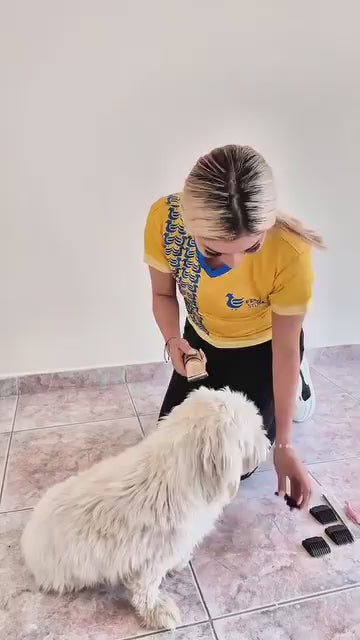 Kit Profesional Cortadora Pelo Mascota